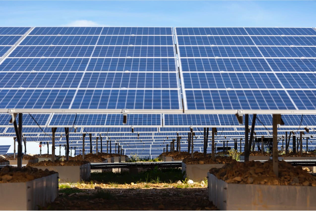 panneaux solaires rangées production énergies renouvelables
