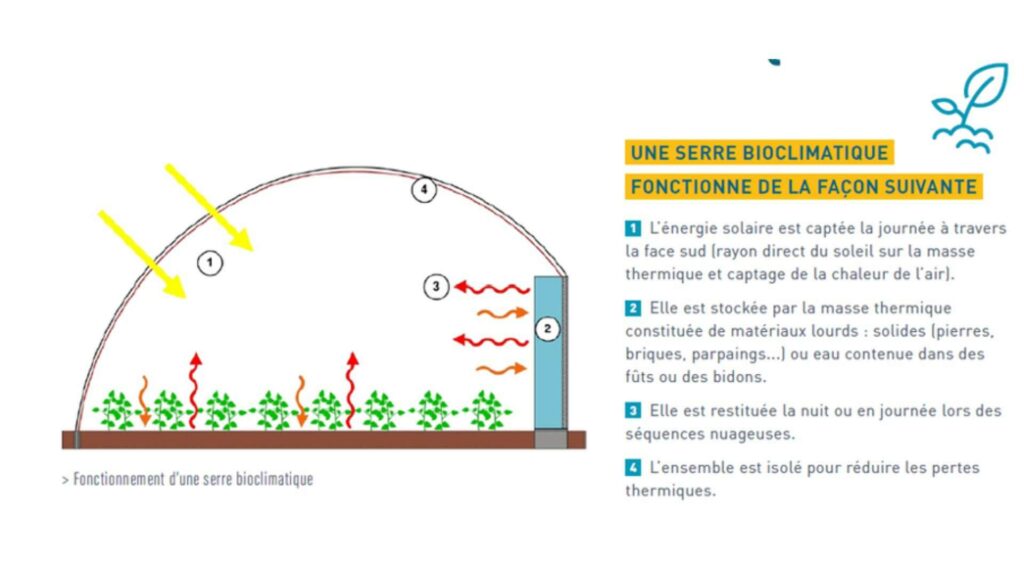 Schéma fonctionnement serres agricoles