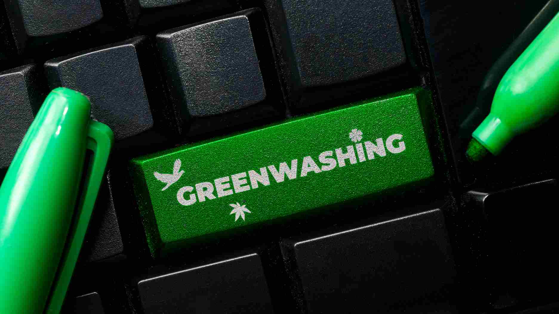 greenwashing-toit-végétalisée